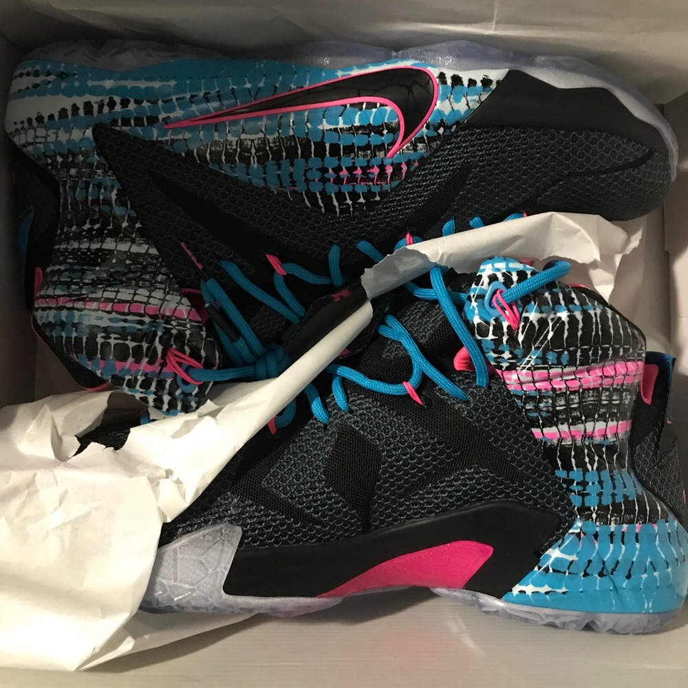 LeBron XII